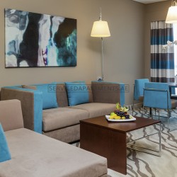 Furnished 1 Bedroom Hotel Apartment in Novotel Hotel Al Barsha