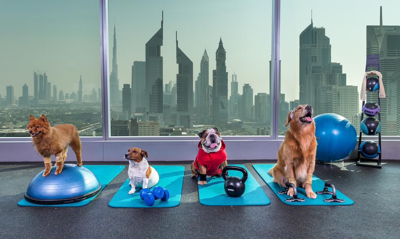 Jumeirah Living WTC Residencs - Gym