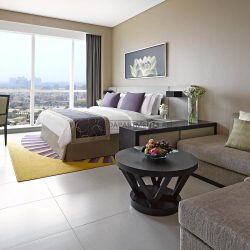 Furnished Studio Hotel Apartment in Dusit Thani Abu Dhabi