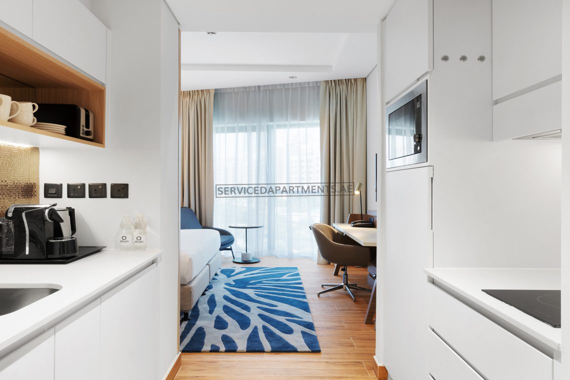Furnished Studio Apartment in Adagio Premium The Palm