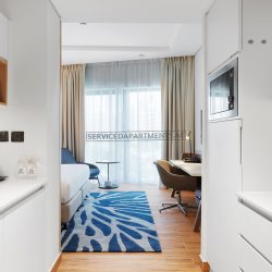 Furnished Studio Apartment in Adagio Premium The Palm